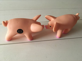 Jeu des cochons (lancer de dés cochons)