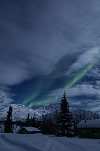 Nordlichter Wiseman, Alaska, Nordlichterbeobachtung, Aurora Alaska, Selbstversorger, Wildnis, Dalton Highway