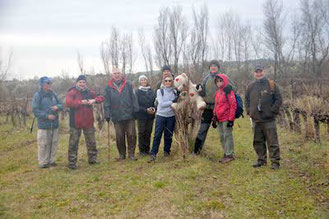 Marche de Montaud par l'ANOCR 34-12-48 le 7 février 2023 anocr34.fr