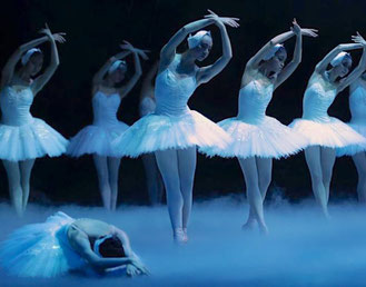 le lac des cygnes dictée cm1