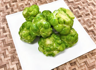 新着情報 谷口醸造株式会社 信州飯田