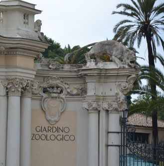 Bioparco di Roma, zoo, giardino zoologico