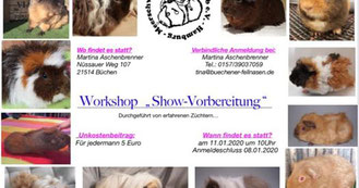 Quelle: https://meerschweinchenhobbyclub.jimdofree.com/