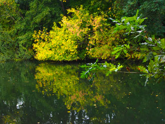 ein letztes Natur-Reservat