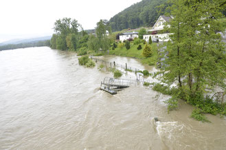 Die Aare bringt Hochwasser (Felsenau)