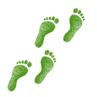 Bild: Pixabay / Elisa Riva