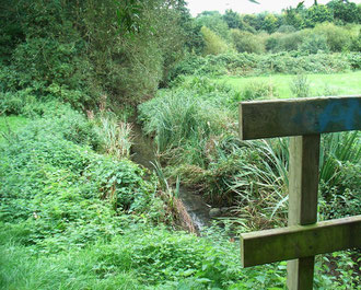 Westley Brook at Westley Vale Park