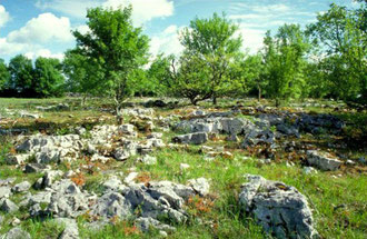 Photo P. Dubreuil-PNR des Causses du Quercy