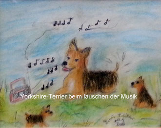 "Yorkshire-Terrier beim lauschen der Musik" (Keide, Rötel, Kohlezeichnung)