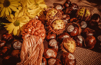 Kastanien im Herbst