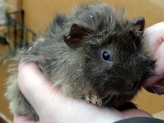 Prinz Charming als Baby^^