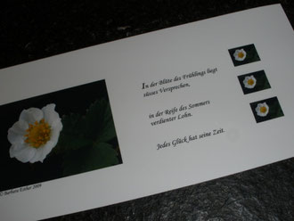 Erdbeerblüte