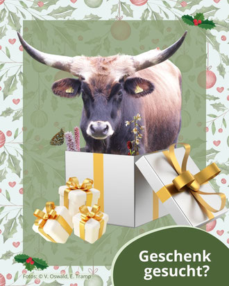 Fotos © V. Oswald, E. Tramp