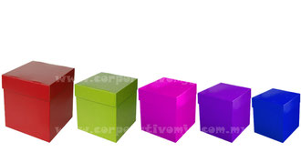 CUBO RIBIK LISO