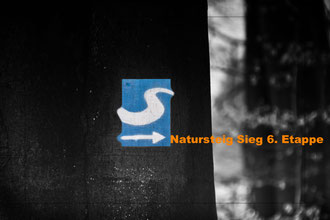 Dreithäler Weg Natursteig Sieg Deutschland