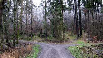Deutschland Sauerland Rothaarsteig outdoor-pur