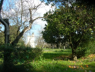 giardino della Torre Bosco di Capodimonte