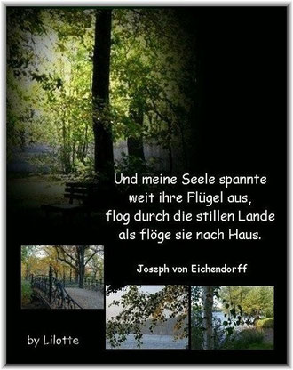 Meine 1.Collage