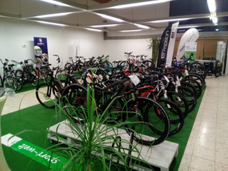 Die e-motion e-Bike Experten in der e-motion e-Bike Welt in Ravensburg