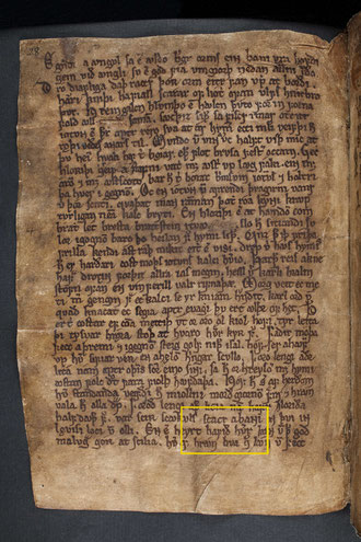 Codex Regius der Lieder-Edda (GKS 2365 4to, 14v)