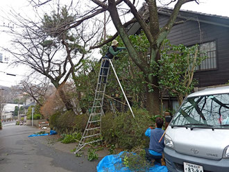 ガーデニングや庭作り，造園工事を横浜や神奈川県内で探すなら大和の樹楽屋へウッドデッキやレンガ工事も樹楽屋へ　