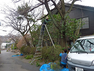 ガーデニングや庭作り,造園工事を横浜や神奈川県内で探すなら大和の樹楽屋へウッドデッキやレンガ工事も樹楽屋へ