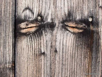 Holzaugen