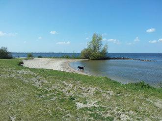 Das Erholungs- und Naturschutzgebiet De Vooroever