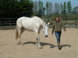 Me and Harvey