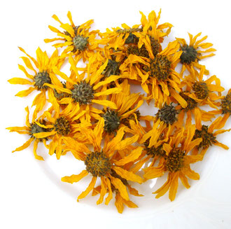 Topinambur Blüte gepresst