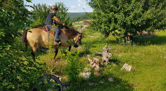 Video Pummelpony im Trailpark
