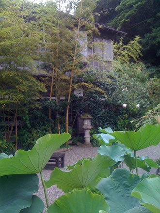 日影茶屋(旧日蔭茶屋)。山にせまった2階のいちばん奥の二十番が大杉栄の定宿でした。