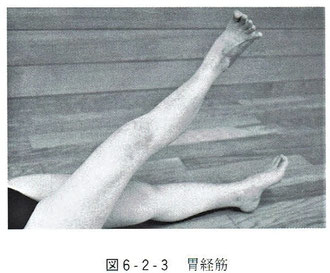 胃経筋