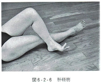 肝経筋