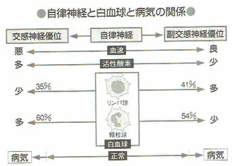 自律神経と白血球と病気の関係