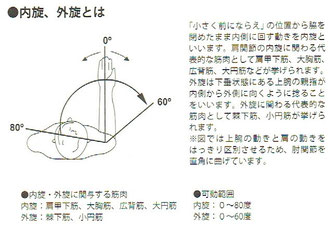 内旋、外旋とは