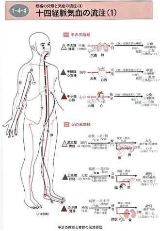 「経絡マップ」より
