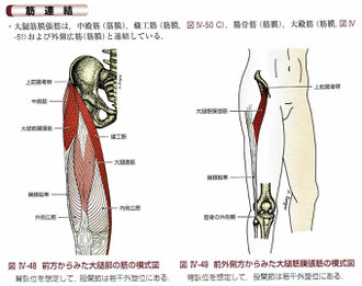 改訂版第2版 骨格筋と触察法