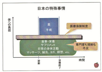 日本の特殊事情(医療保険制度の壁)