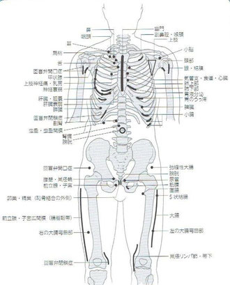 「神経リンパ反射療法」より