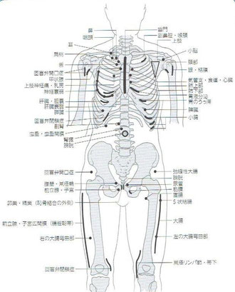 「神経リンパ反射療法」より