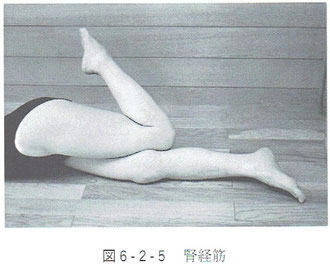 腎経筋