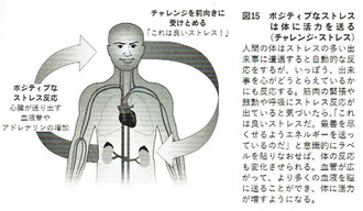 チャレンジ・ストレス：ポジティブなストレスは体に活力を送る。