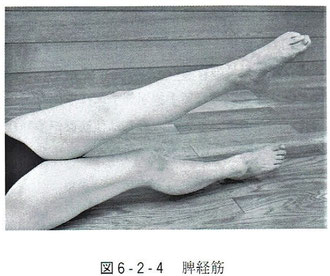 脾経筋