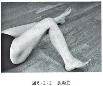 胆経筋