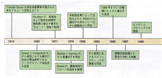 がんゲノム解析：手法と精度管理