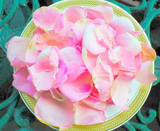 薔薇の花びらをお皿に盛っただけ。後で薔薇風呂にします