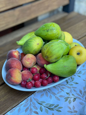Ein Teller voller Obst. Mirabellen, Pfirsiche, Äpfel und riesige Feigen
