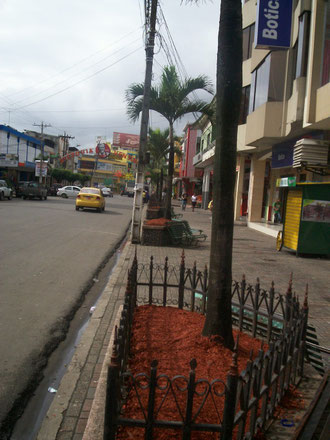 Jardineras en Quevedo