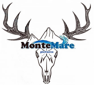 Montemare Kunst in anderen Formen